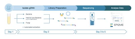 rcbkk114a|What are the features of the Rapid Barcoding Kit 96 (SQK .